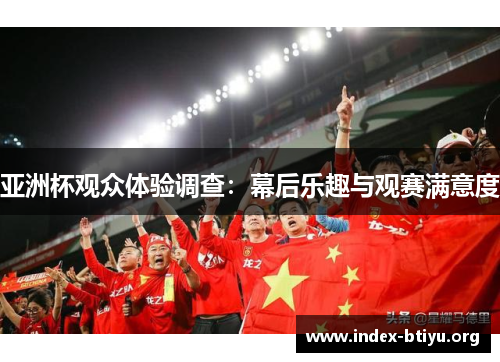 亚洲杯观众体验调查:幕后乐趣与观赛满意度 亚洲杯观众体验调查:幕后乐趣与观赛满意度