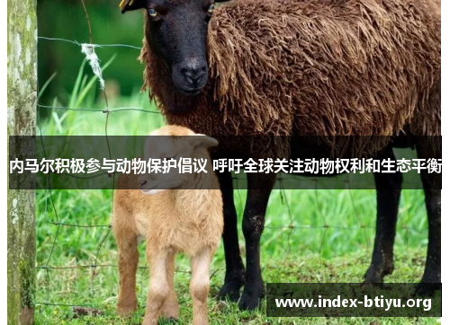 内马尔积极参与动物保护倡议 呼吁全球关注动物权利和生态平衡 内马尔积极参与动物保护倡议 呼吁全球关注动物权利和生态平衡