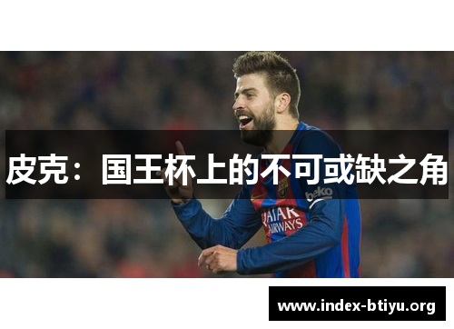 皮克:国王杯上的不可或缺之角 皮克:国王杯上的不可或缺之角