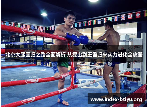 北京大腿回归之路全面解析 从复出到王者归来实力进化全攻略 北京大腿回归之路全面解析 从复出到王者归来实力进化全攻略