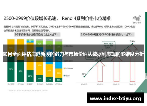 如何全面评估海港新援的潜力与市场价值从数据到表现的多维度分析 如何全面评估海港新援的潜力与市场价值从数据到表现的多维度分析