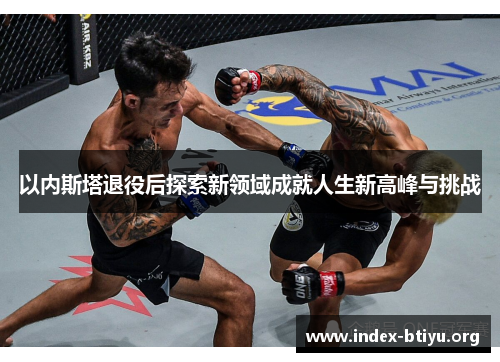 以内斯塔退役后探索新领域成就人生新高峰与挑战 以内斯塔退役后探索新领域成就人生新高峰与挑战