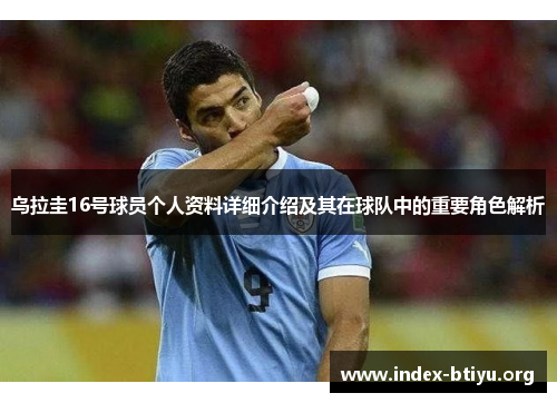 乌拉圭16号球员个人资料详细介绍及其在球队中的重要角色解析 乌拉圭16号球员个人资料详细介绍及其在球队中的重要角色解析