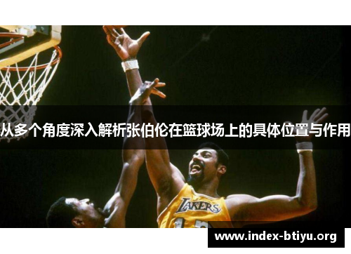 从多个角度深入解析张伯伦在篮球场上的具体位置与作用 从多个角度深入解析张伯伦在篮球场上的具体位置与作用
